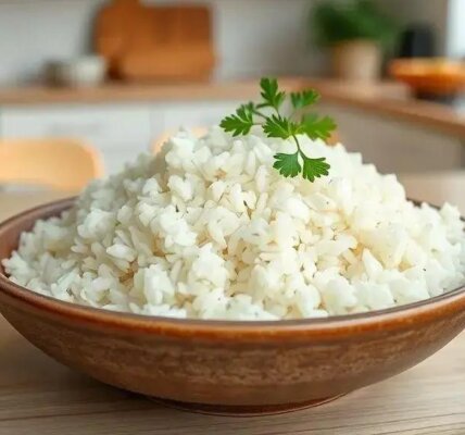 arroz airfryer